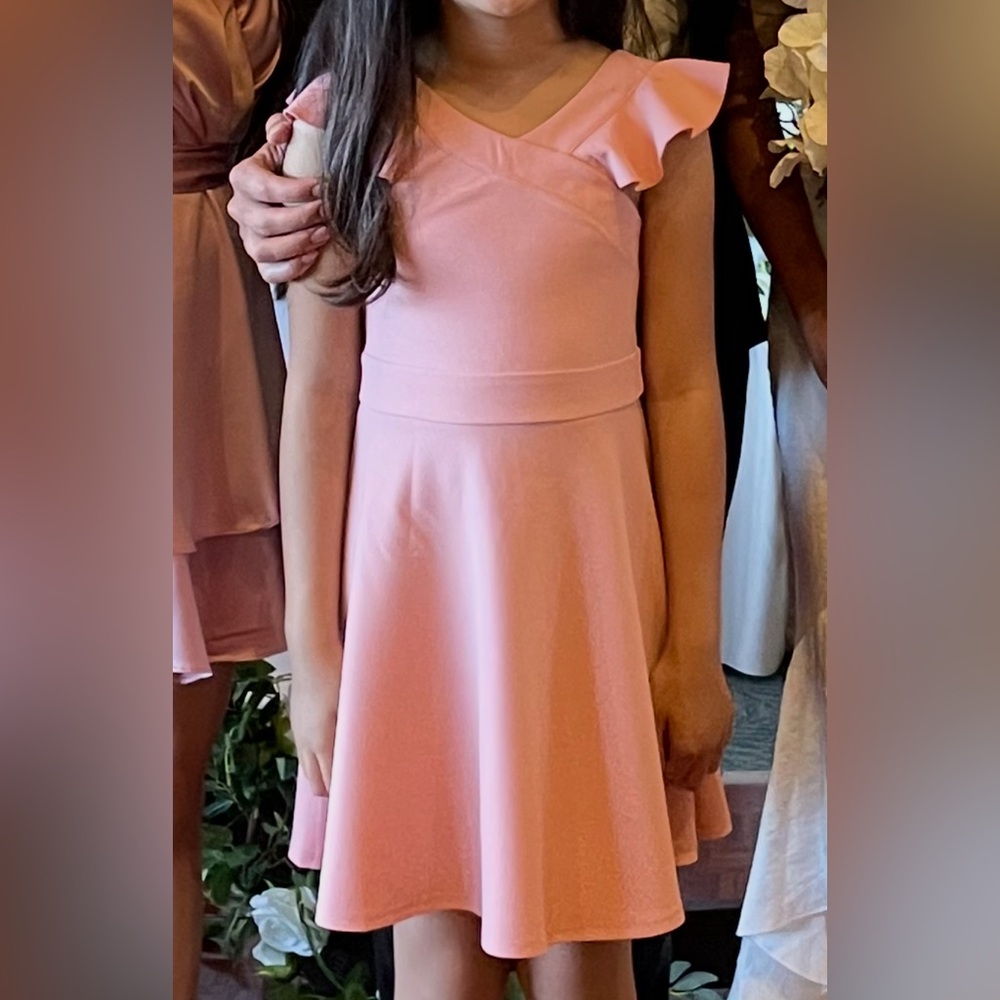 Zunie Blush Pink Kids Dress with Ruffle Sleeves Size 8